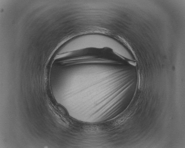 X0000081460435200702021811
