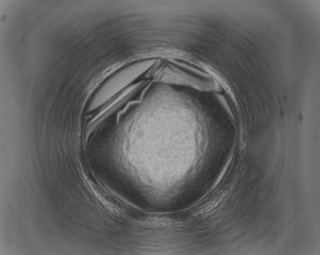 X0000081460437200702021811