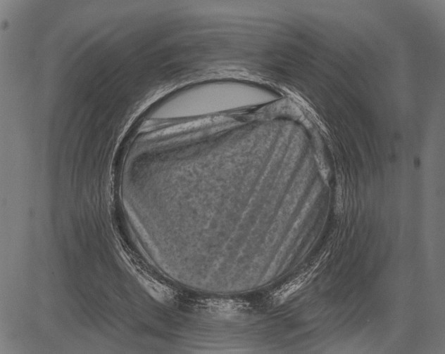 X0000081460439200702021811