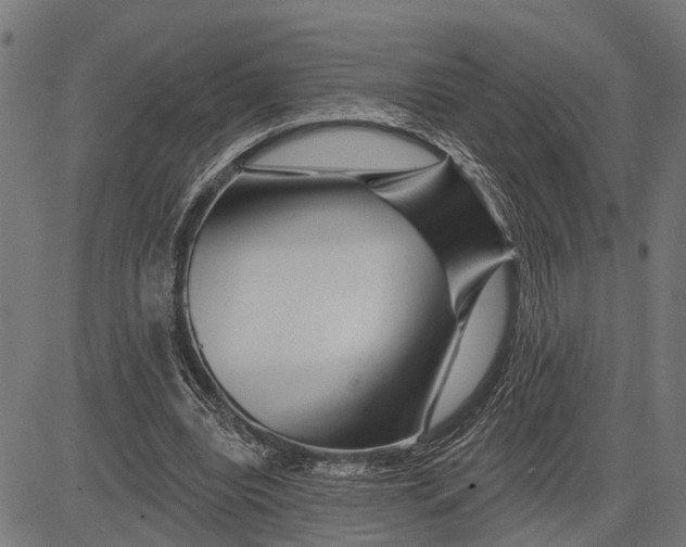 X0000081460440200702021811