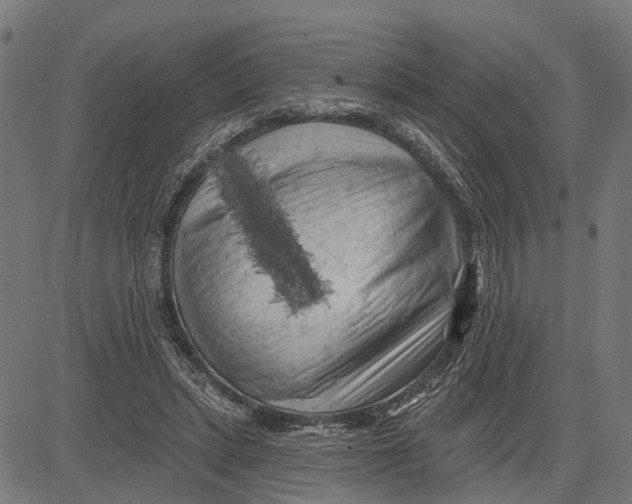 X0000081460447200702021811
