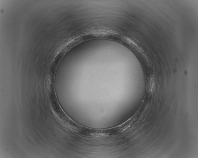 X0000081460448200702021811
