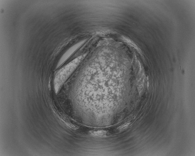 X0000081460452200702021811