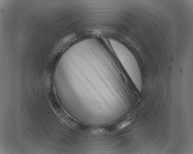 X0000081460456200702021811