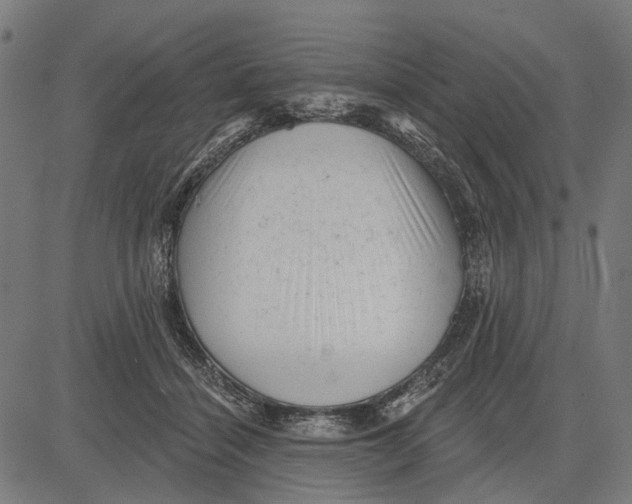 X0000081460460200702021812