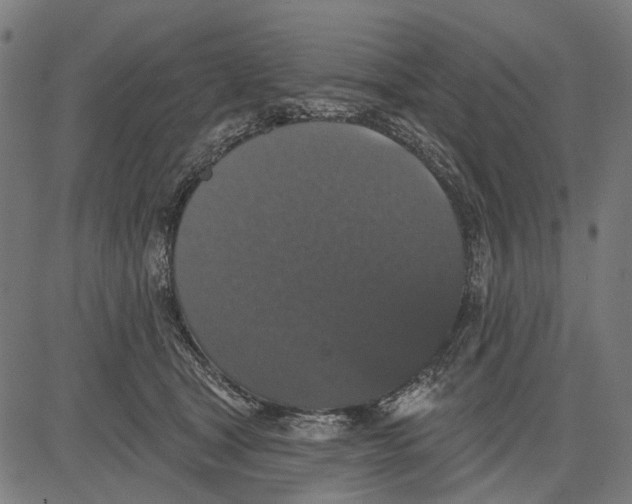 X0000081460465200702021812