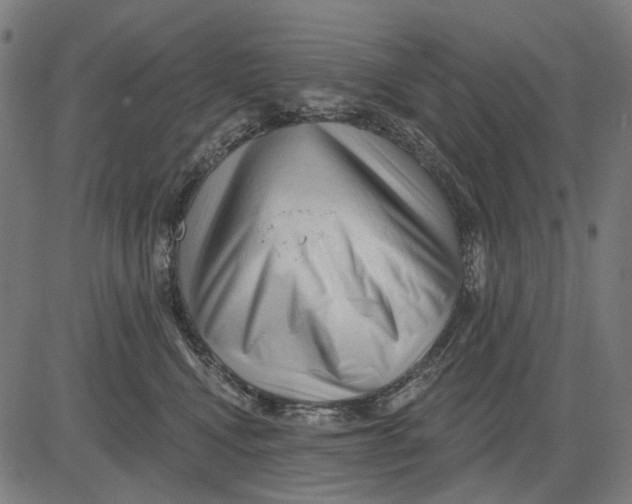 X0000081460472200702021812