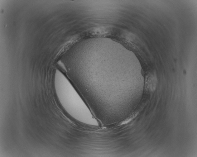 X0000081460474200702021812