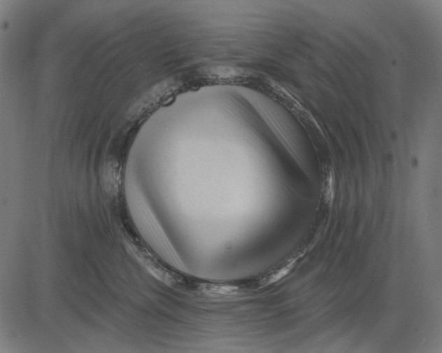 X0000081460476200702021812
