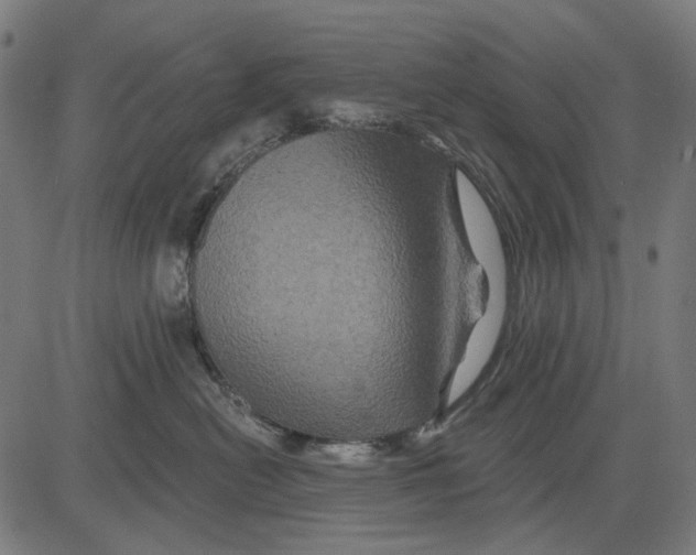 X0000081460478200702021812