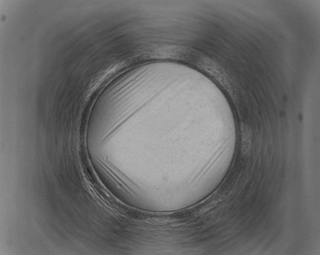 X0000081460482200702021811