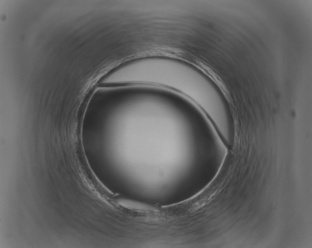 X0000081460485200702021811