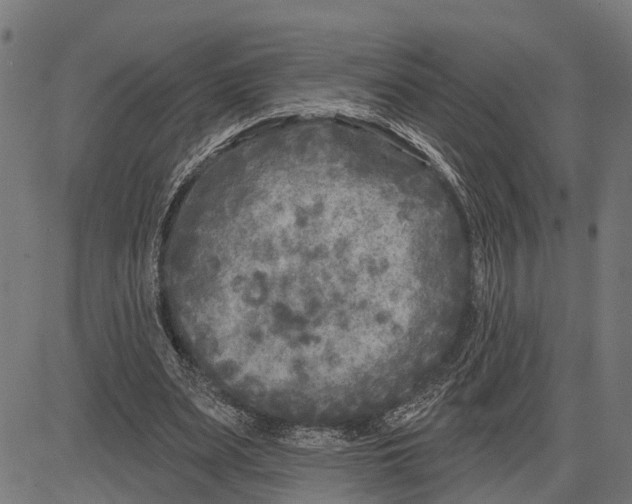 X0000081460487200702021811