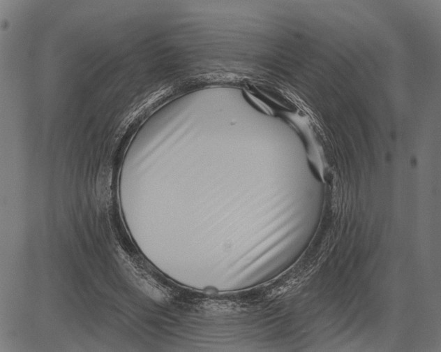 X0000081460490200702021811