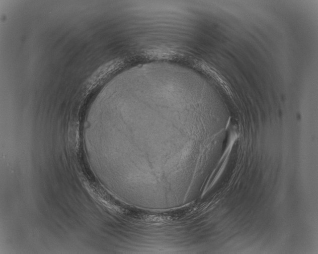 X0000081460494200702021811
