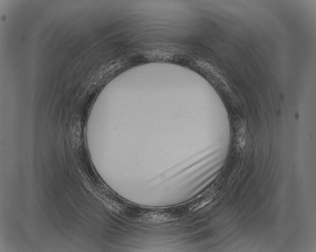 X0000081460498200702021811