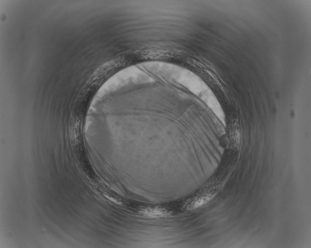 X0000081460503200702021811