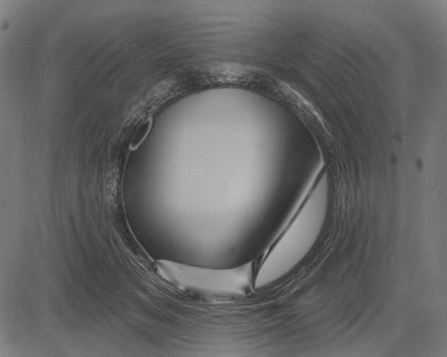 X0000081460509200702021811