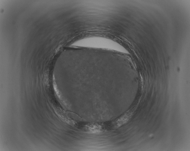 X0000081460512200702021811