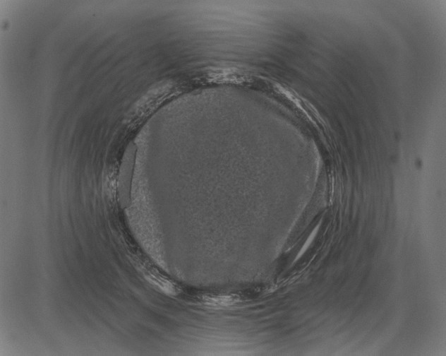 X0000081460513200702021811