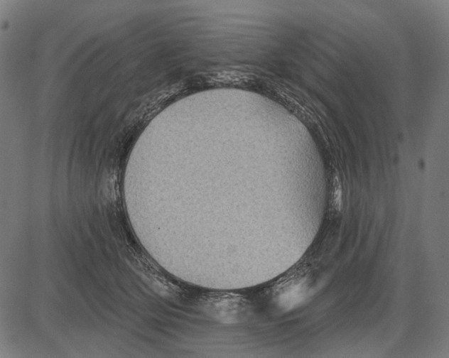 X0000081460514200702021811