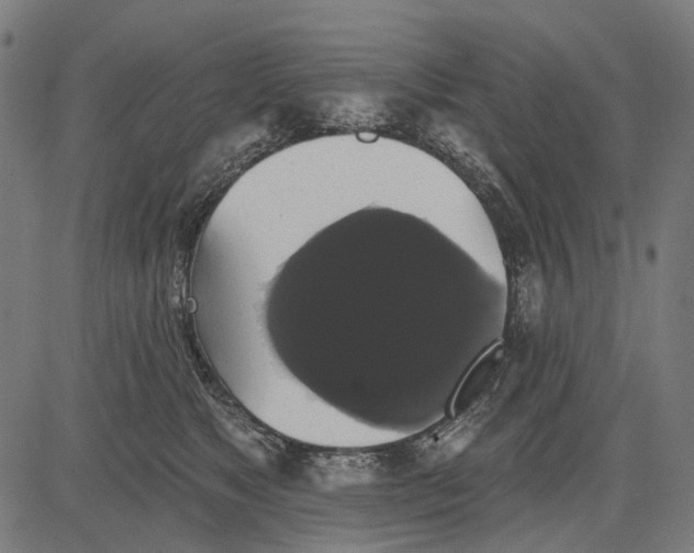 X0000081460517200702021811