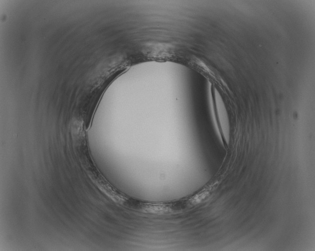 X0000081460521200702021810