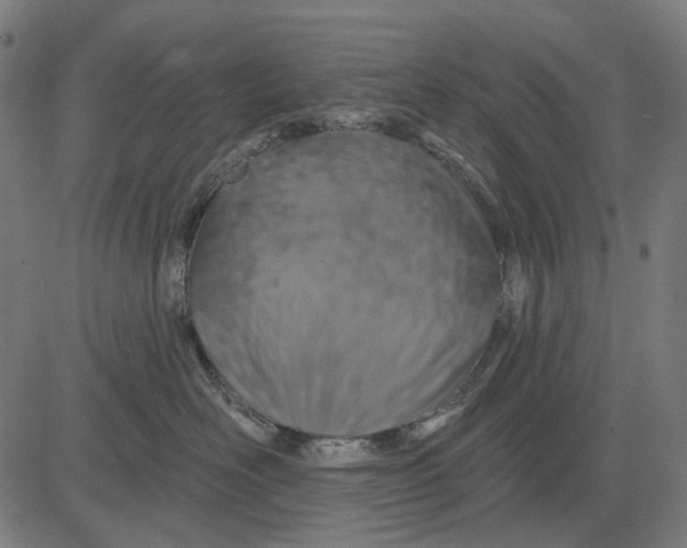 X0000081460526200702021810