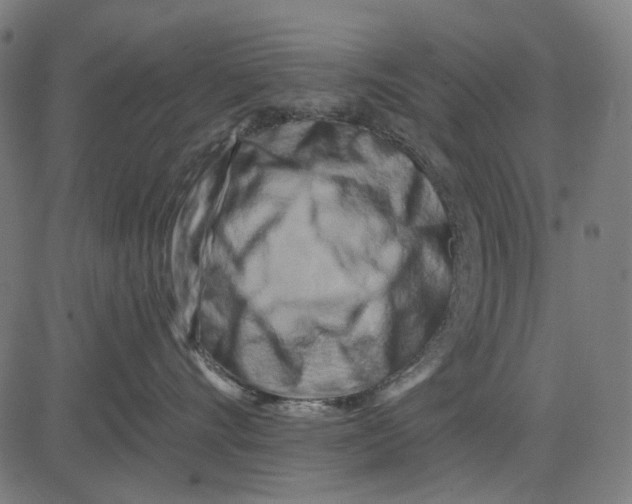 X0000081460528200702021810