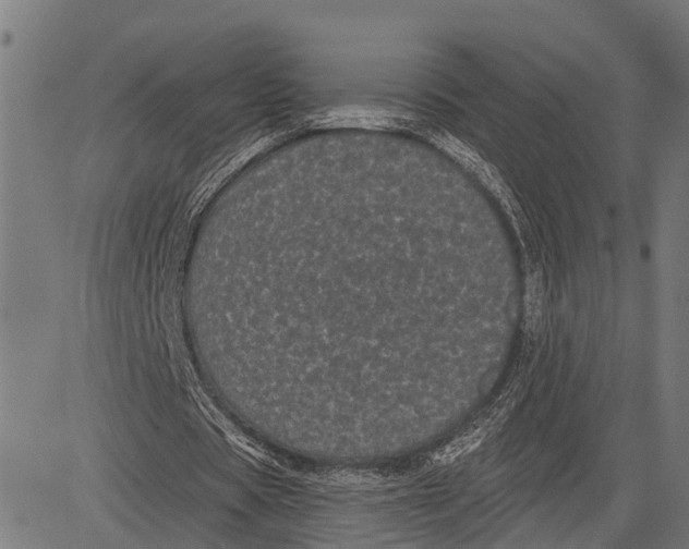 X0000081460529200702021810