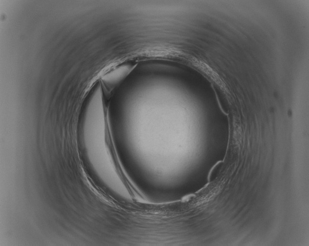 X0000081460530200702021810