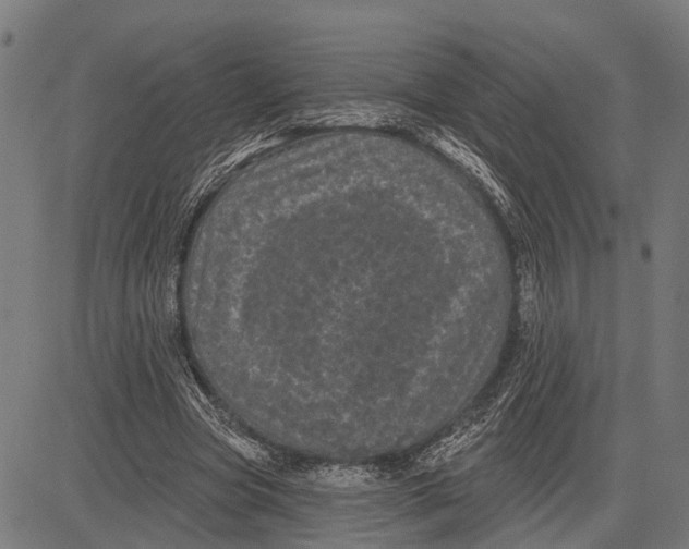 X0000081460537200702021810