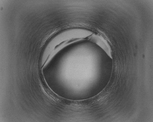 X0000081460538200702021810