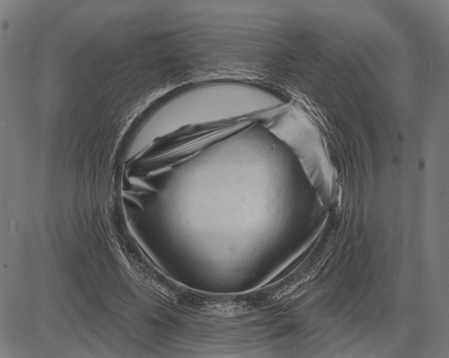 X0000081460540200702021810