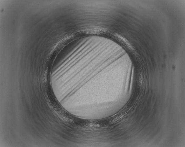 X0000081460543200702021810