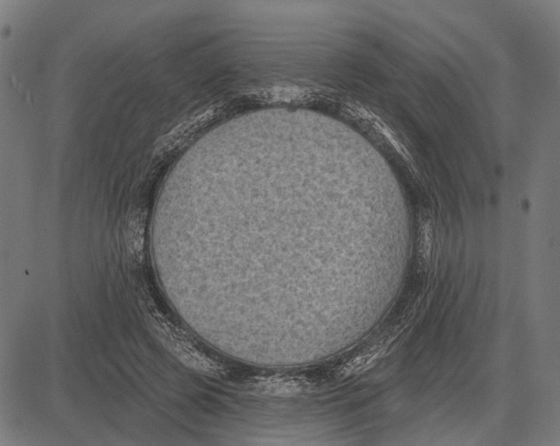 X0000081460545200702021810