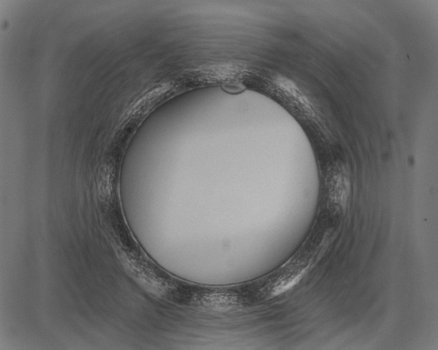 X0000081460546200702021810
