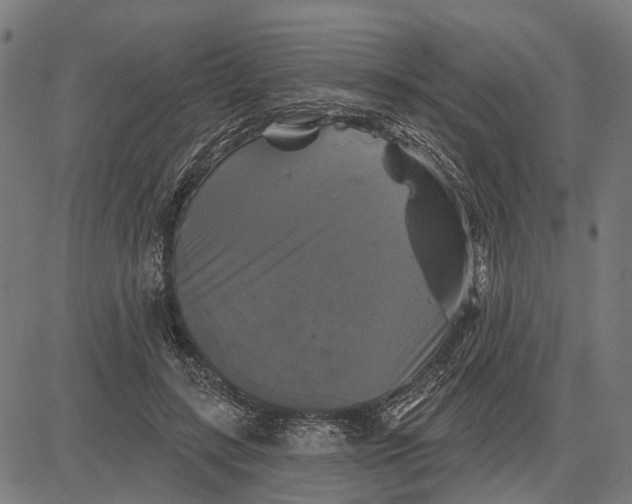 X0000081460547200702021810