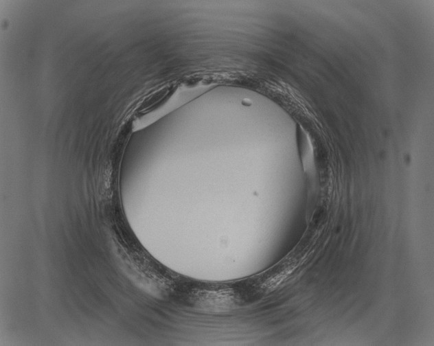 X0000081460548200702021810