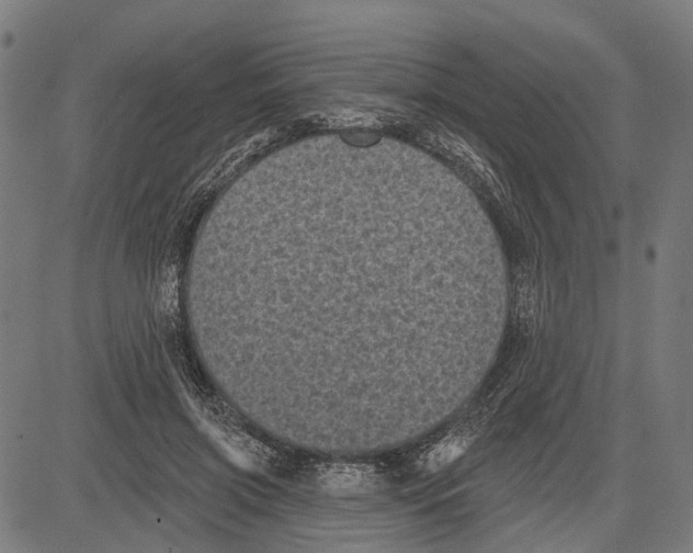 X0000081460549200702021810