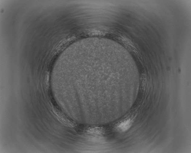 X0000081460550200702021810