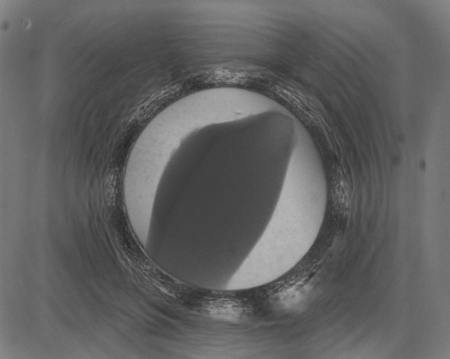 X0000081460551200702021810