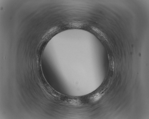 X0000081460552200702021810