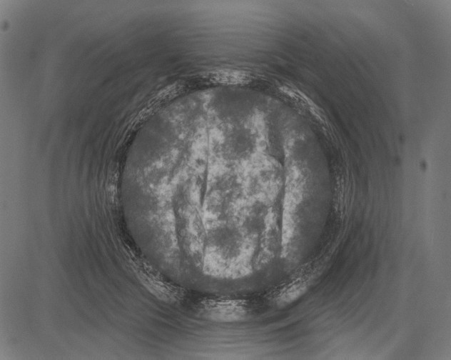 X0000081460553200702021810