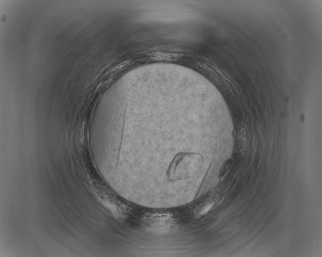 X0000081460554200702021810