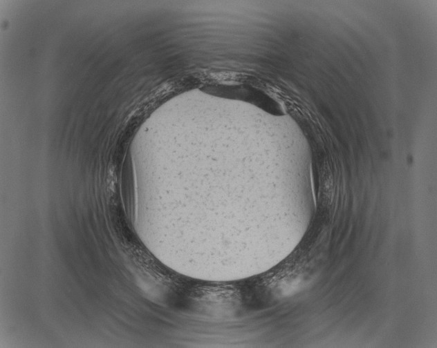 X0000081460555200702021810