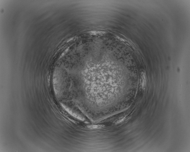 X0000081460558200702021810