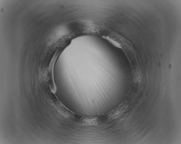X0000081460560200702021810