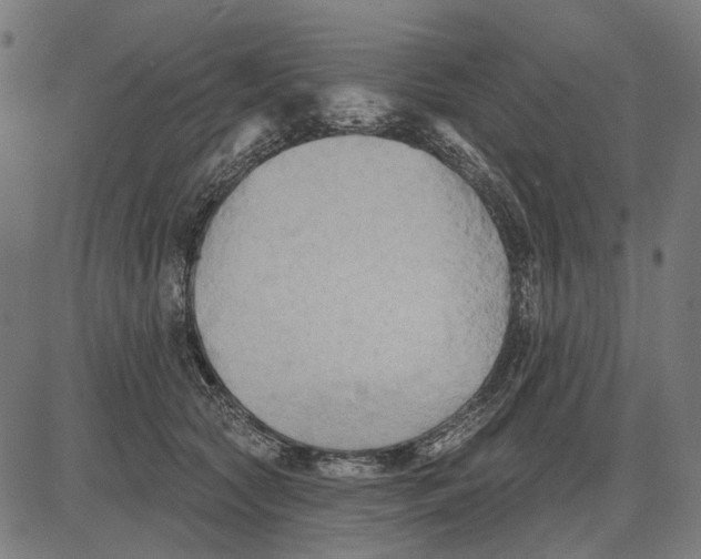 X0000081460561200702021810