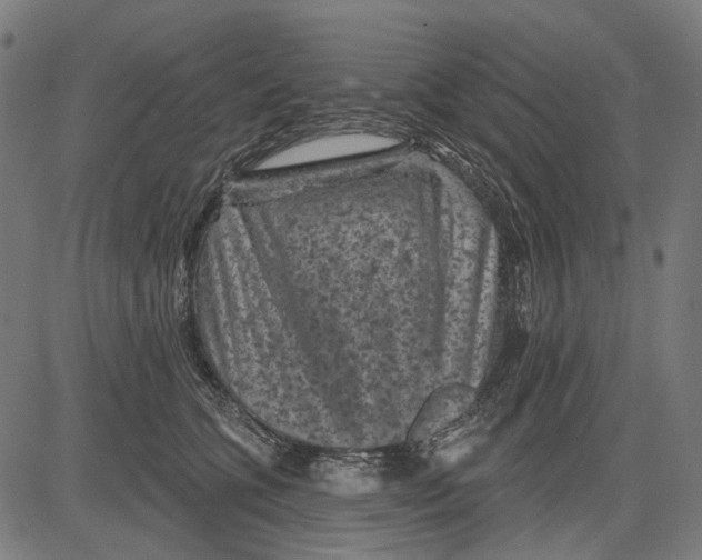 X0000081460563200702021810